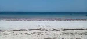 Beach One 1/2 Acre Plot