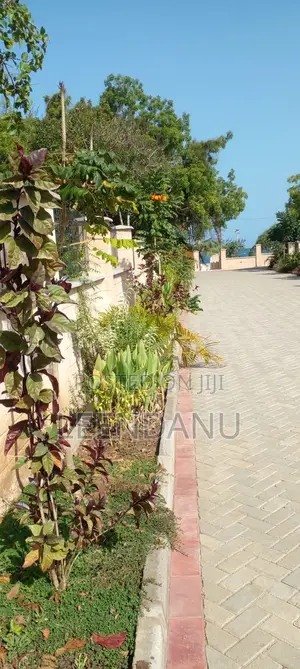 Beach One 1/2 Acre Plot