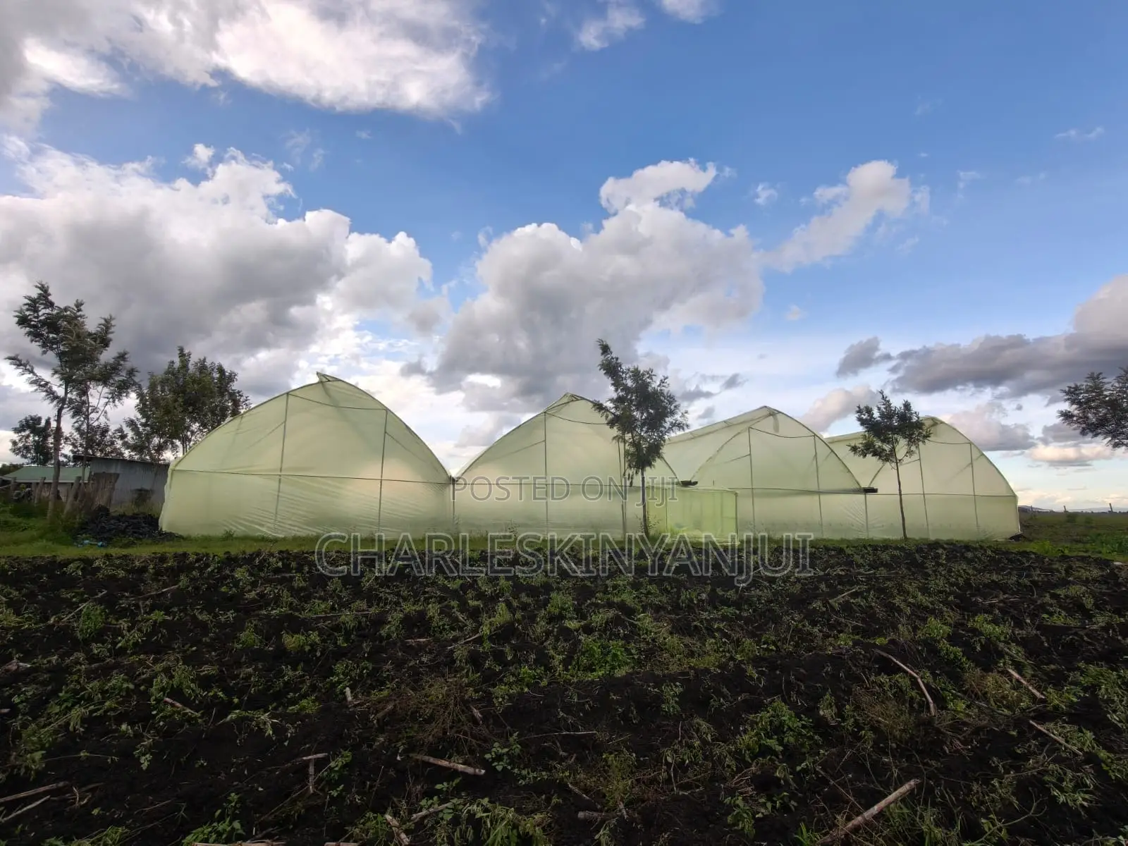 Land for Sale 10.75 AC