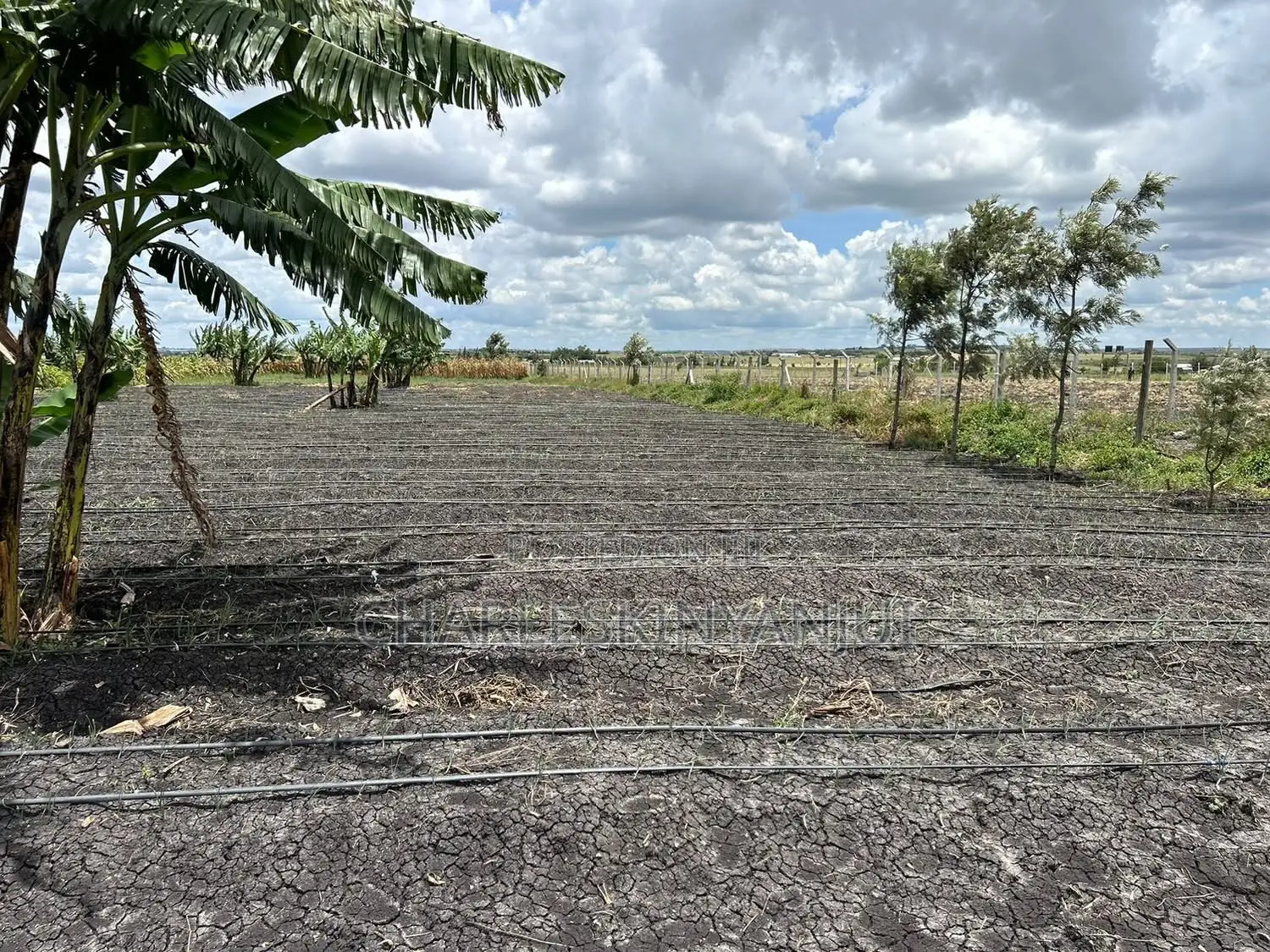 Land for Sale 10.75 AC