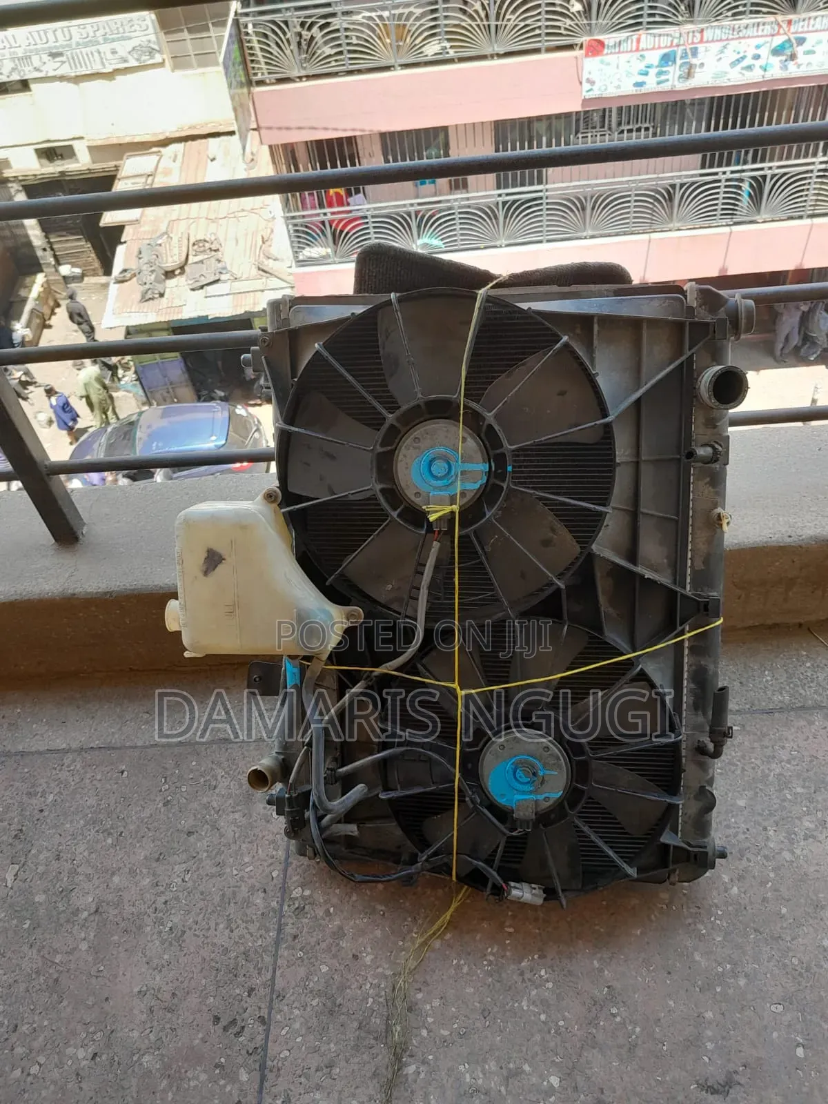 Escudo Radiator Complete