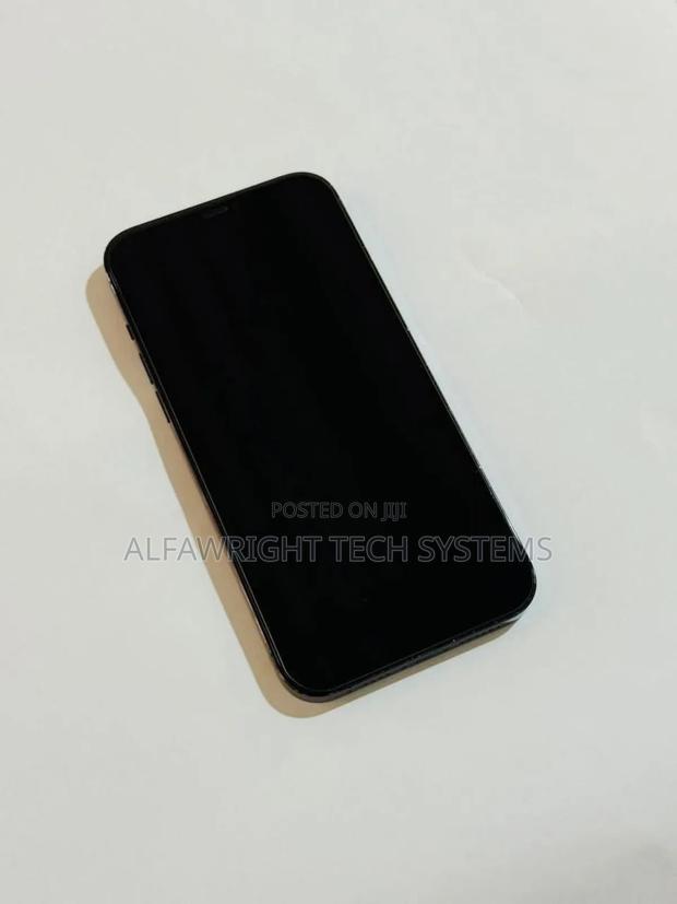Apple iPhone 12 Pro Max 256 GB Blue - thumbnail 3