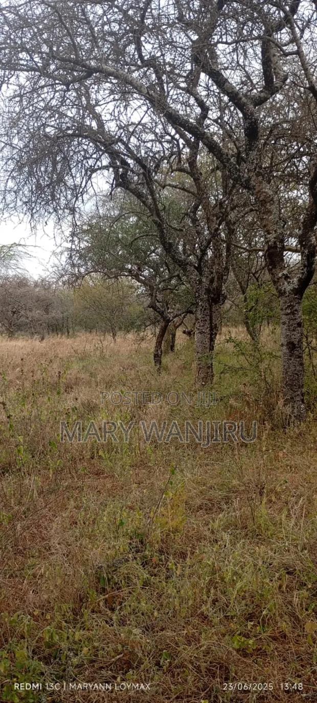 11.5 Acres Available for Sale - thumbnail 2