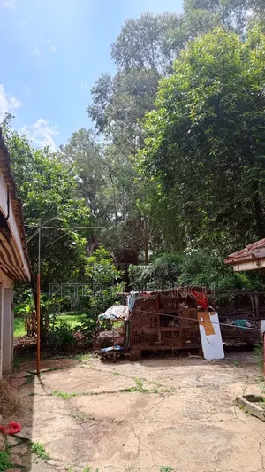 Garden Estate - 1/2 Acre , Prime Location
