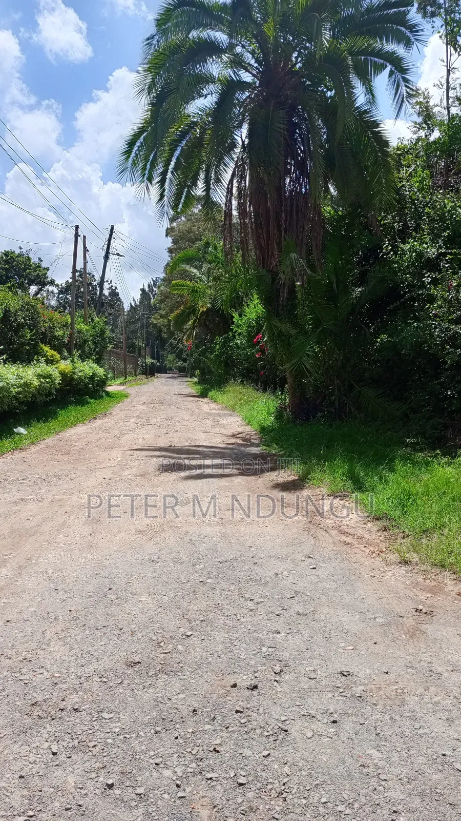 Garden Estate - 1/2 Acre , Prime Location