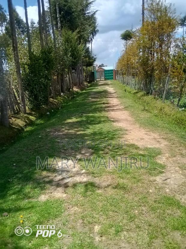 One and Half Acres for Sale - thumbnail 7