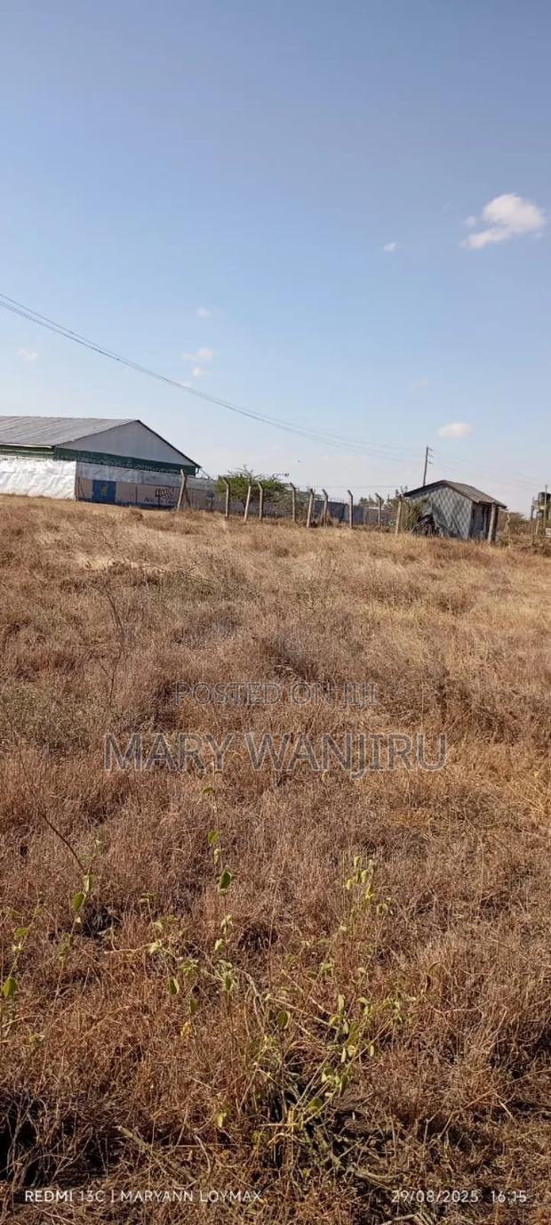 50/100 Plot Available for Sale - thumbnail 2