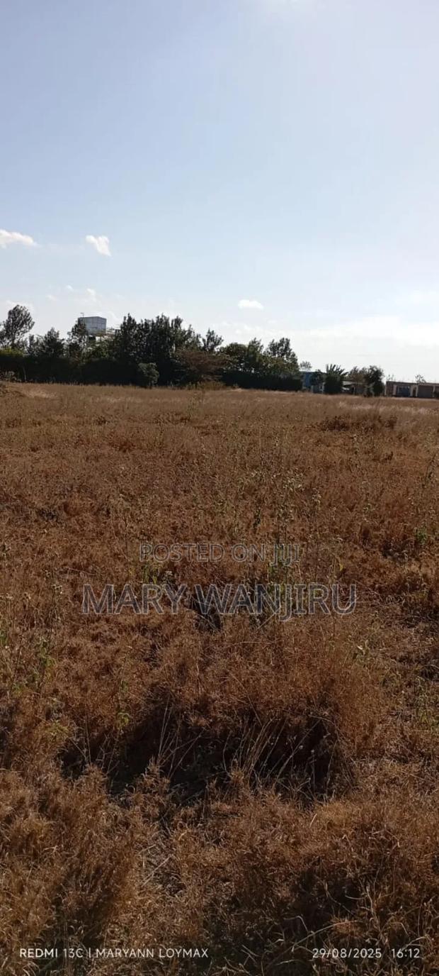 50/100 Plot Available for Sale - thumbnail 4