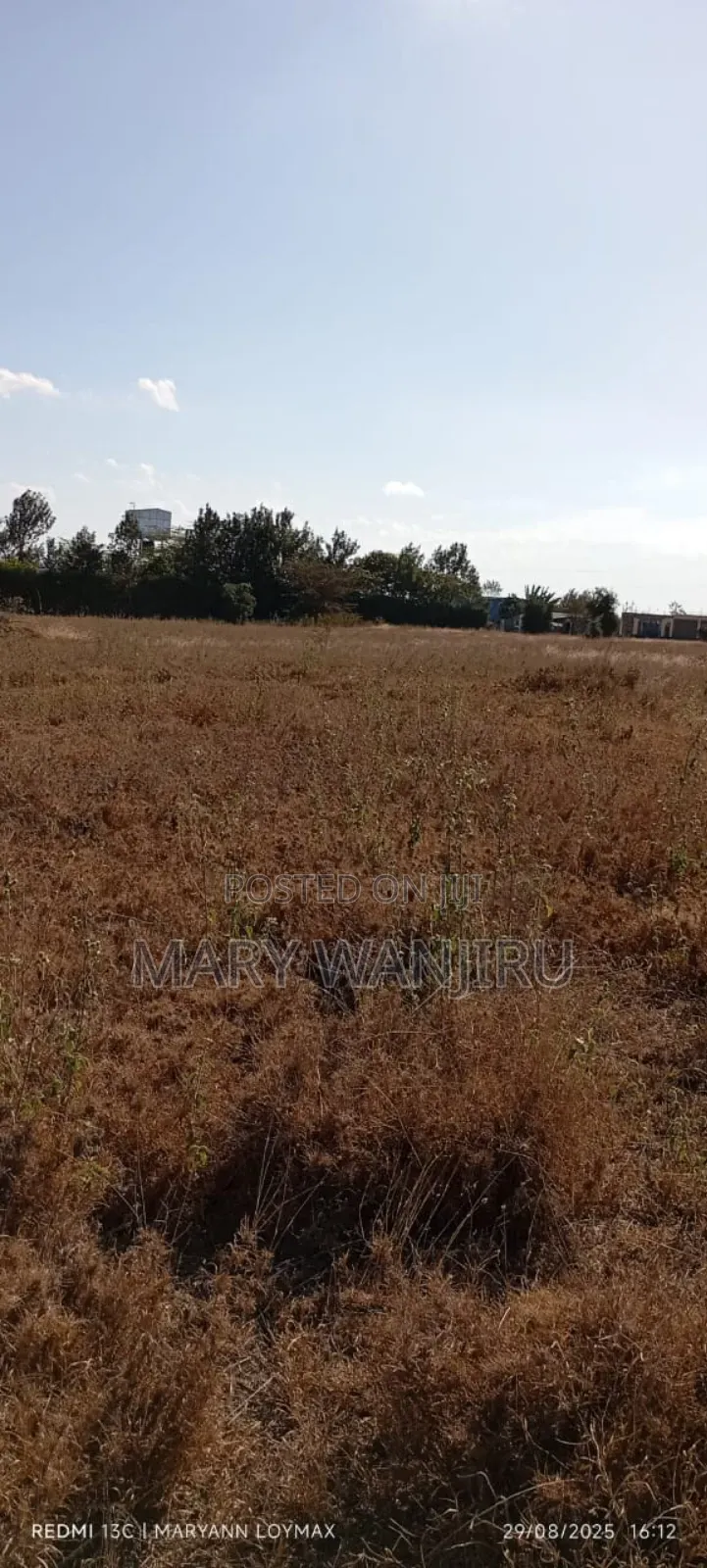 50/100 Plot Available for Sale