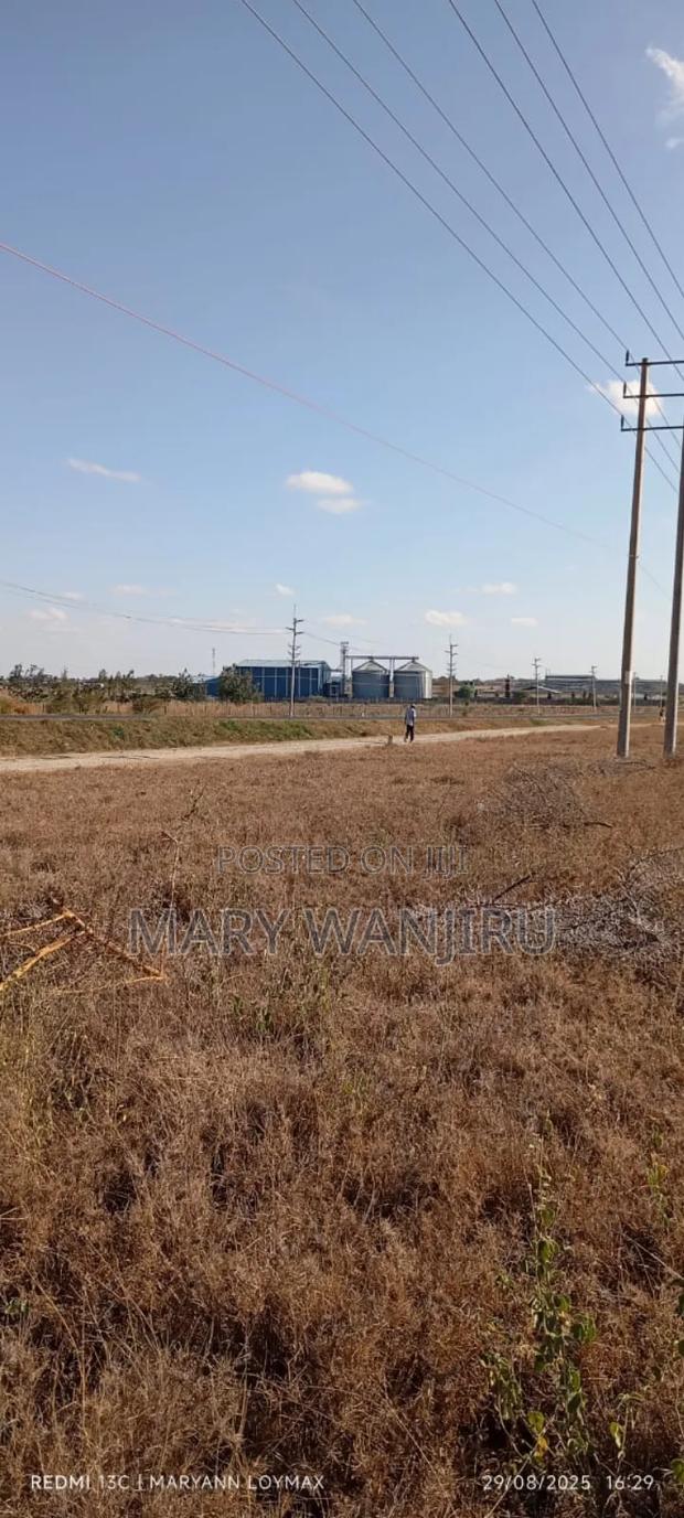 50/100 Plot Available for Sale - thumbnail 5