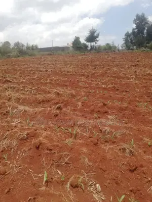 One-Eigth Plot