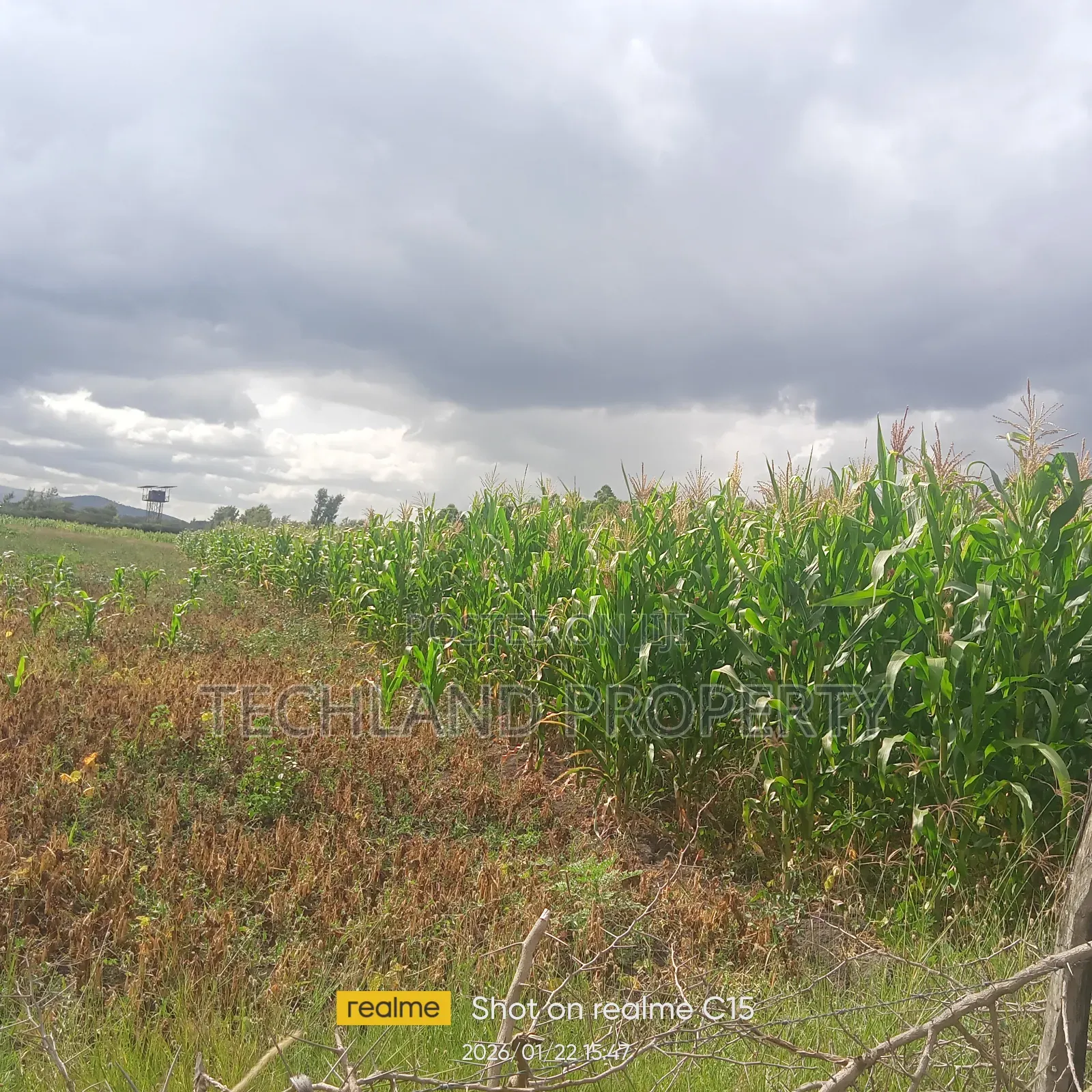 15acres Othaya Nyeri .