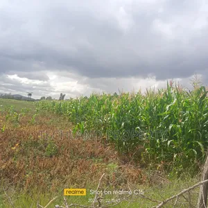 15acres Othaya Nyeri .