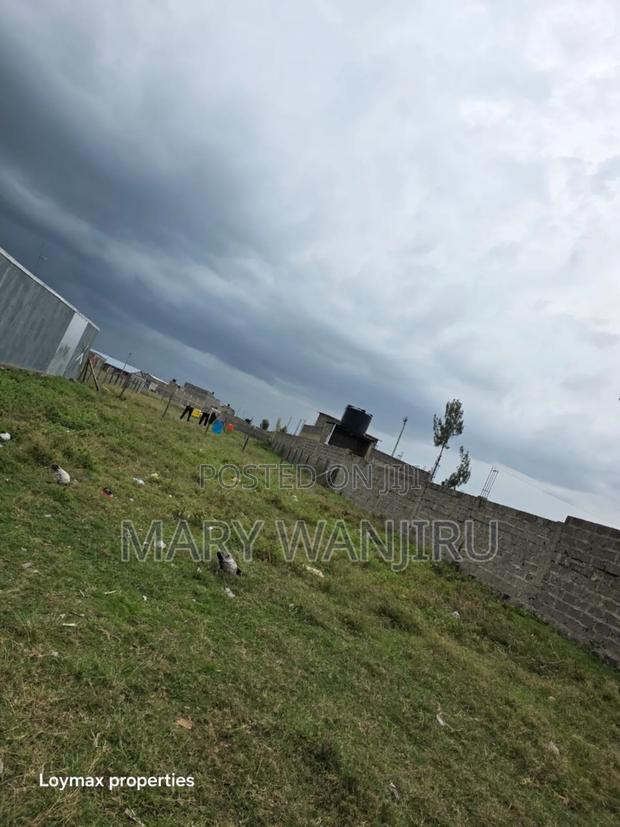 50/100 Plot Available for Sale - thumbnail 2