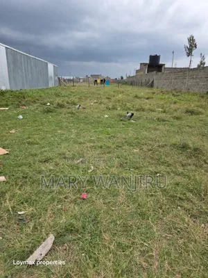 50/100 Plot Available for Sale