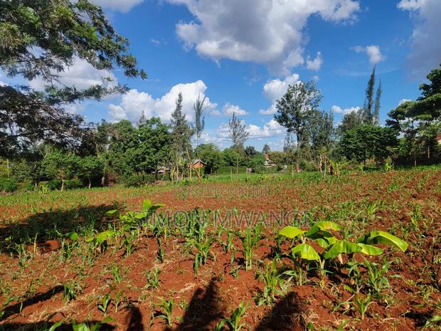 1/2 Acre Land on Sale at Kiambu Kiukenda Estate at 17m