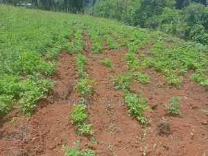 14 Acres for Sale
