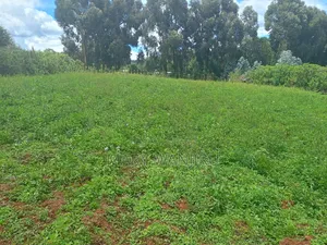 14 Acres for Sale
