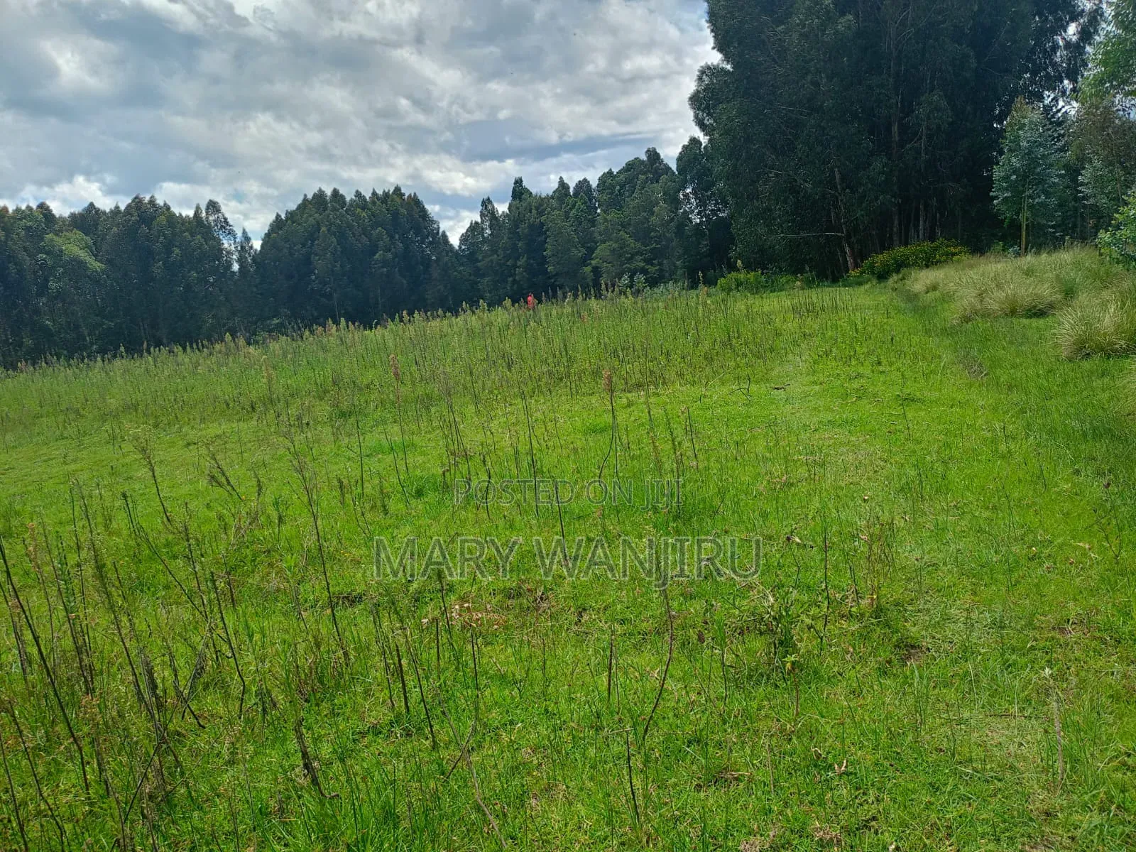 14 Acres for Sale