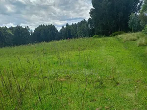 14 Acres for Sale
