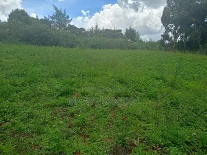 14 Acres for Sale