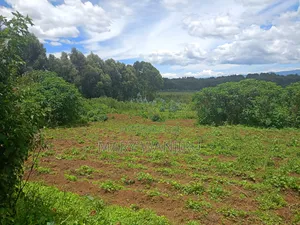 14 Acres for Sale