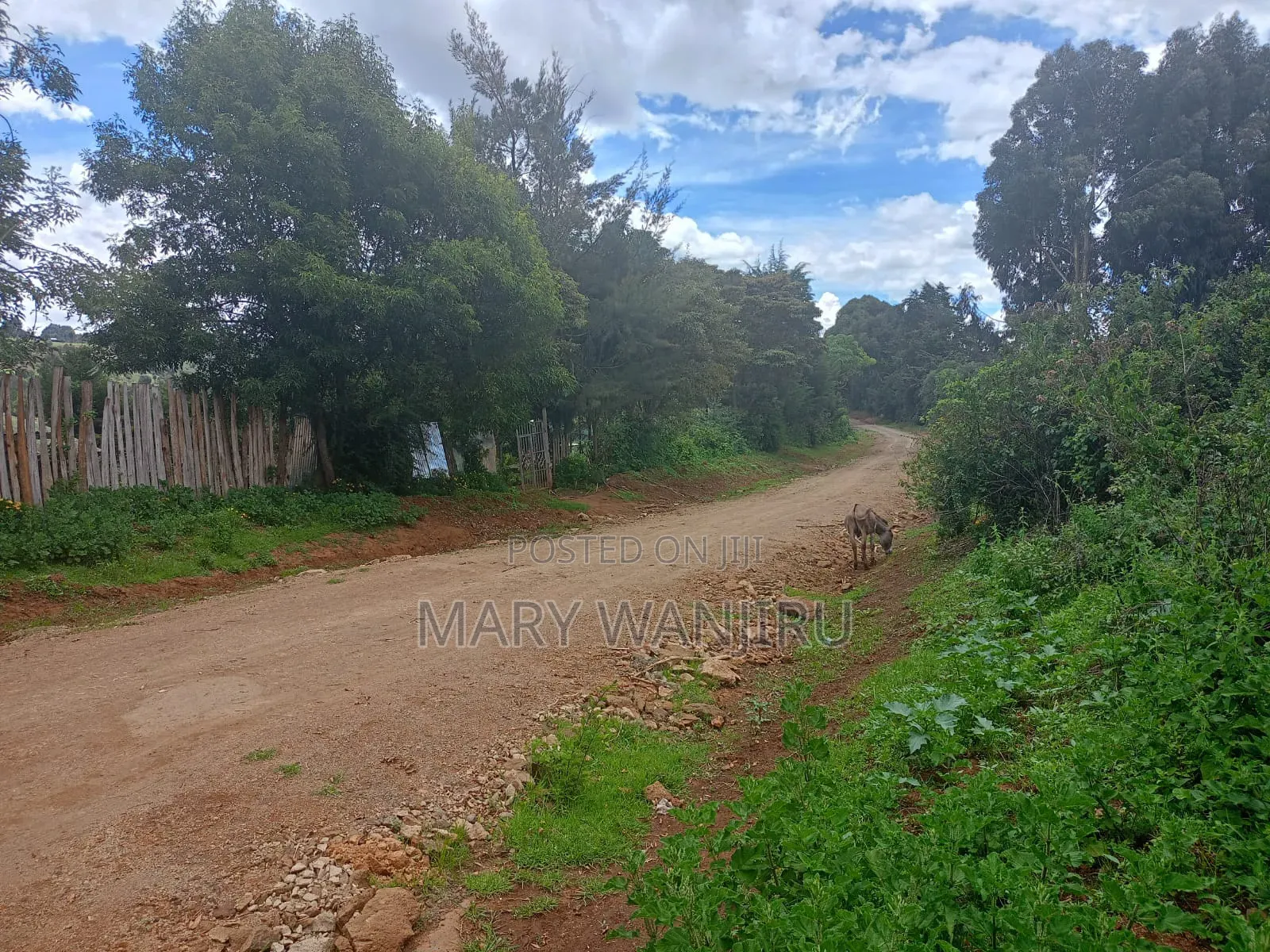 14 Acres for Sale