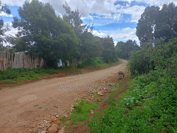 14 Acres for Sale - thumbnail 6