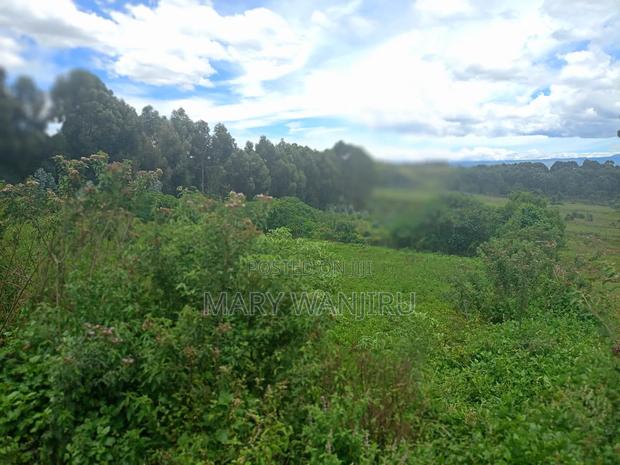 14 Acres for Sale - thumbnail 7
