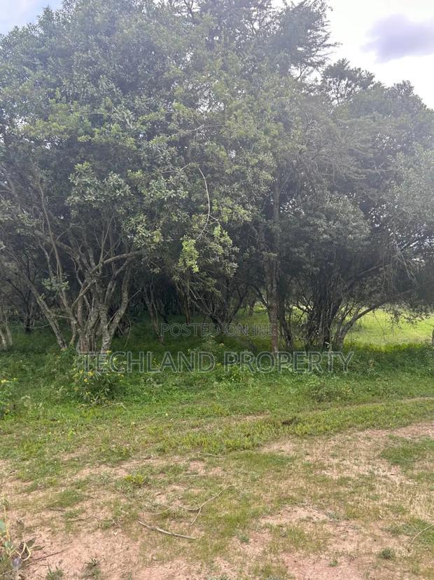 4.5acres Giachuma Nyeri - thumbnail 2