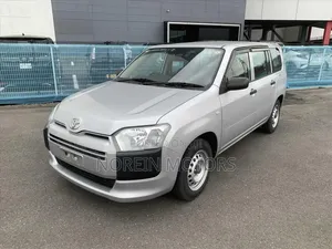 Toyota Probox 2019 Silver