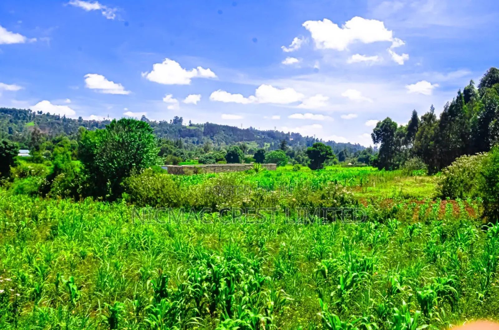 Prime Plots for Sale in a Gated Community