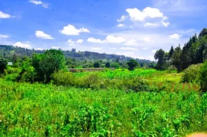 Prime Plots for Sale in a Gated Community