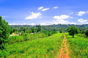 Prime Plots for Sale in a Gated Community