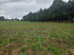 6.5 Acres Available for Sale