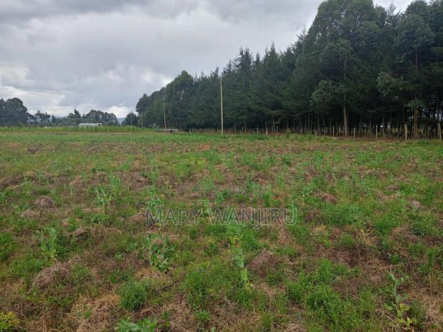 6.5 Acres Available for Sale