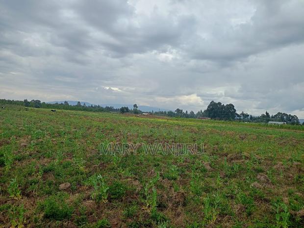 6.5 Acres Available for Sale - thumbnail 3