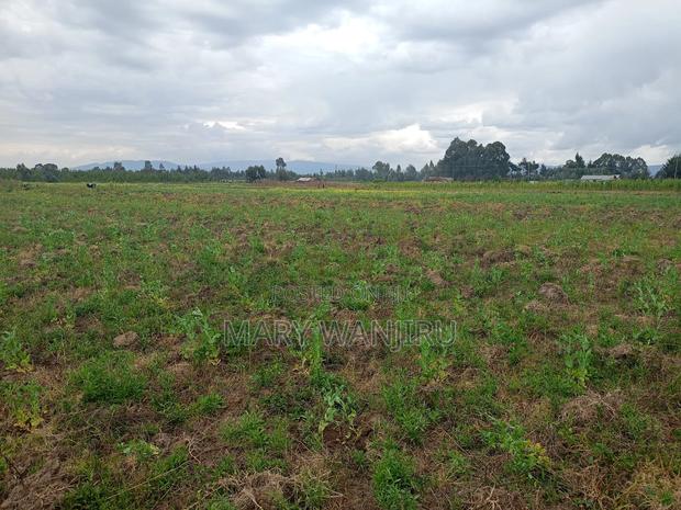6.5 Acres Available for Sale - thumbnail 4