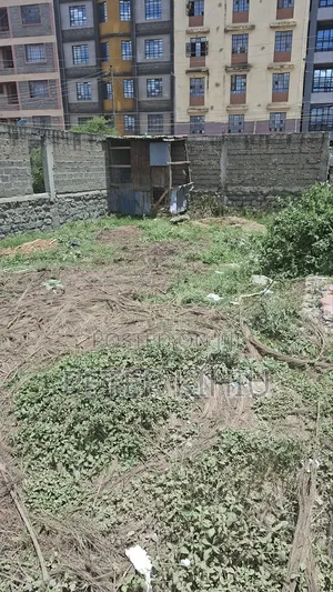Tassia Near Police Post 33ft by 66ft Plot Touching Tarmac