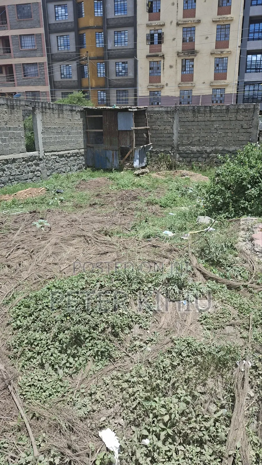 Tassia Near Police Post 33ft by 66ft Plot Touching Tarmac