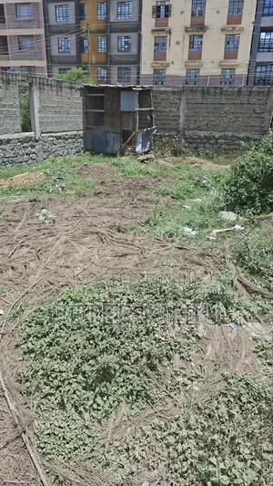 Tassia Near Police Post 33ft by 66ft Plot Touching Tarmac