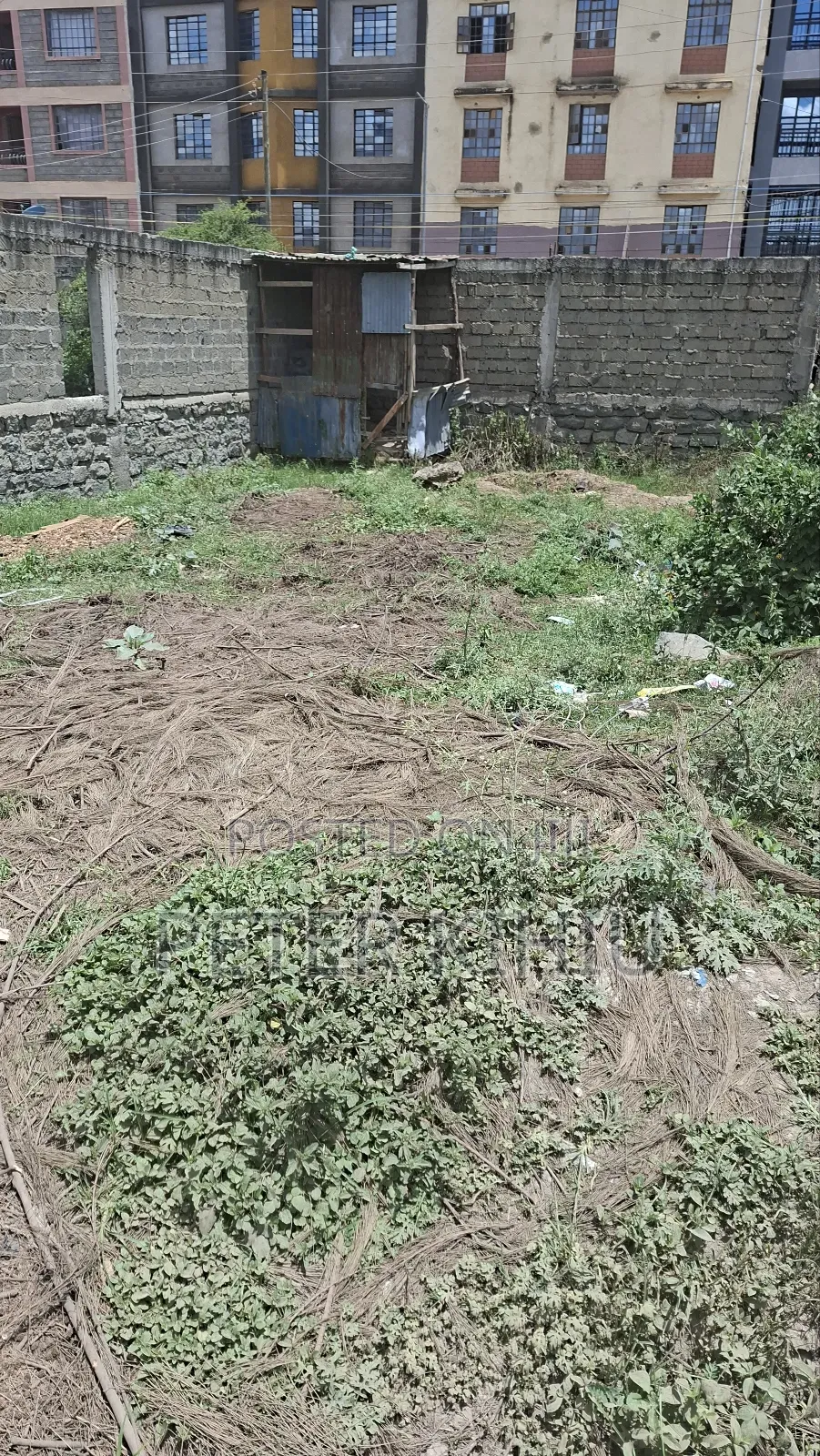 Tassia Near Police Post 33ft by 66ft Plot Touching Tarmac