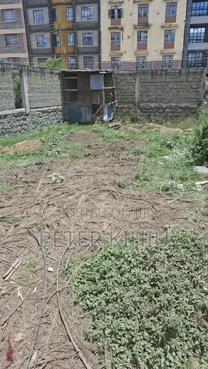 Tassia Near Police Post 33ft by 66ft Plot Touching Tarmac