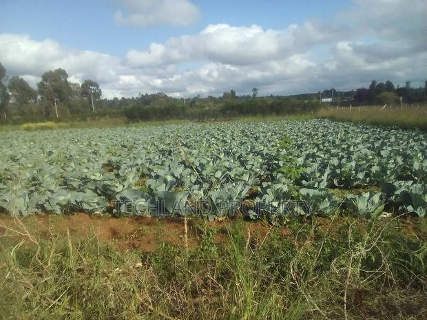 23acres Endarasha Nyeri . - main view