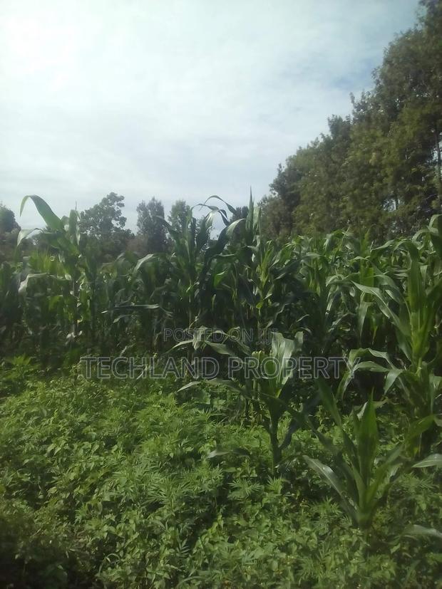 23acres Endarasha Nyeri . - thumbnail 2