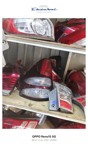 Prado 120 Taillight