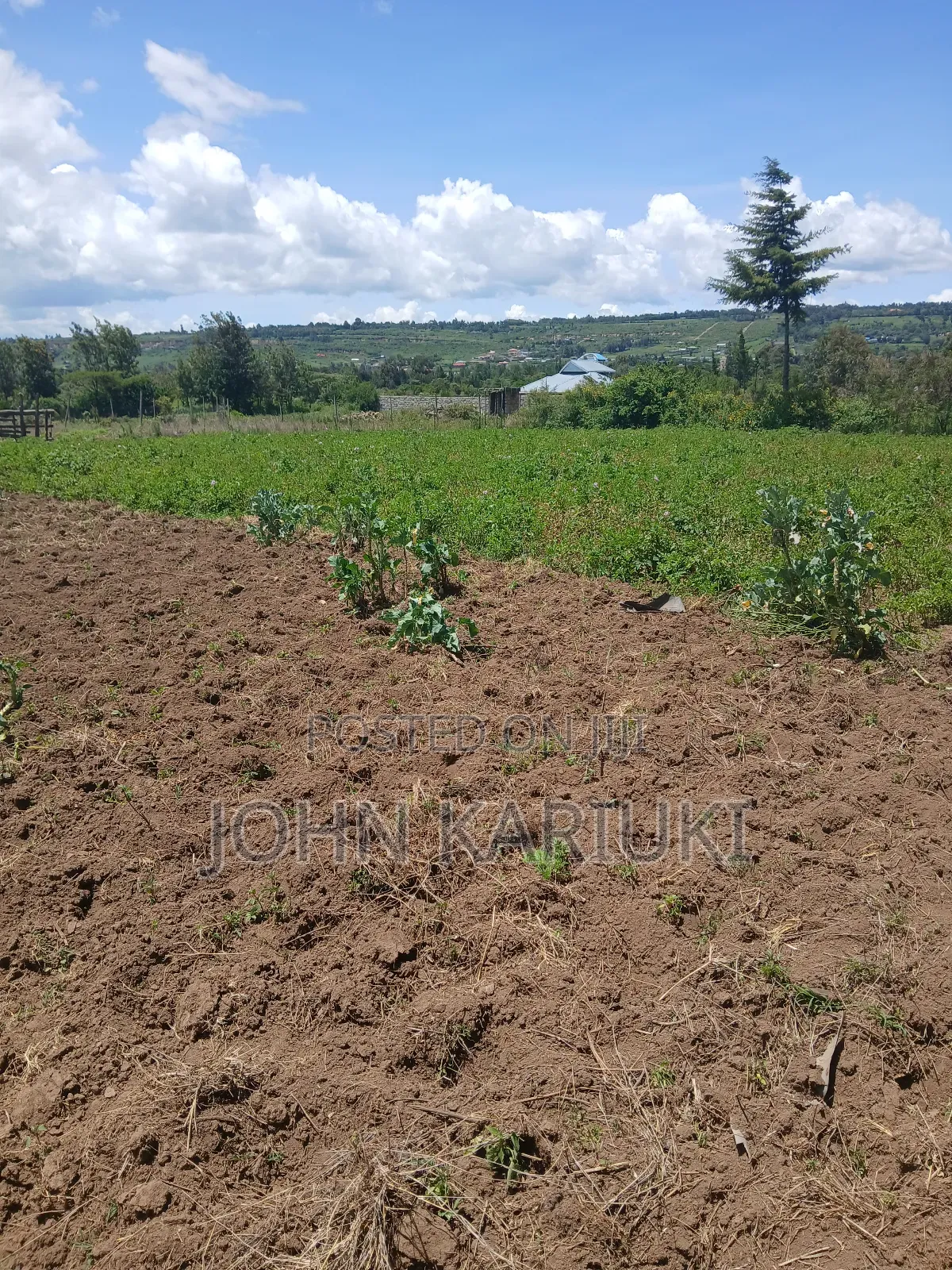 50x100 Plots in Naivasha Nyamathi Opposite Ego Petrol Station 800mts