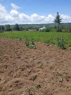 50x100 Plots in Naivasha Nyamathi Opposite Ego Petrol Station 800mts