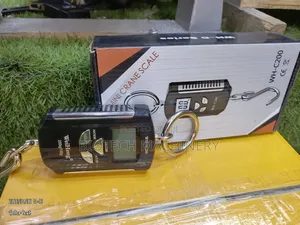 Wh-C Digital Crane Scale
