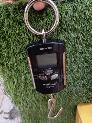 Wh-C Digital Crane Scale